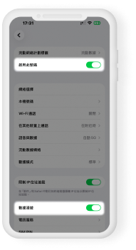 iOS 數據漫遊開關畫面。